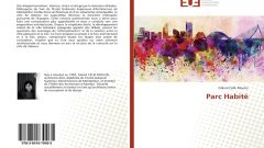 Göknil Çelik Moulin tez yazdı, Fransızlar kitap yaptı