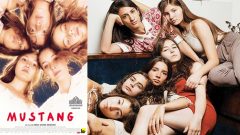 Türk filmi Mustang Oscar adayı