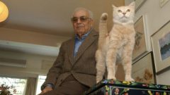 Yaşar Kemal Müzesi yapılacak mı?