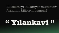 Yılankavi kelimesinin anlamı