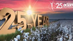 Adana’da film mevsimi