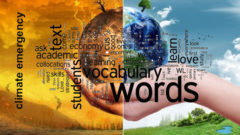 Yılın kelimesi seçildi