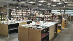 Hayvanseverlerden Koala Kitap Kafe