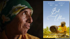 Balcı Türk kadının Oscar adayı belgeseli Honeyland TRT 2’de