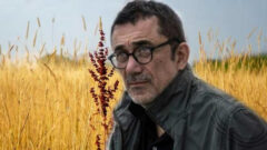 Kuru Otlar Üstüne filmi Cannes’da prömiyer yapacak