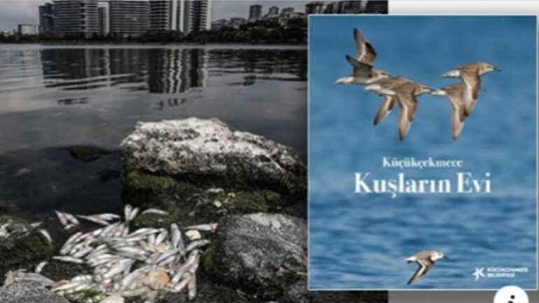 Gülelim mi ağlayalım mı Küçükçekmece’nin haline